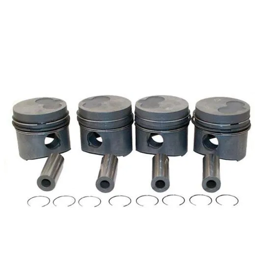 VW Bus T4 Diesel 4 Kolben 1,9 1X 1Y komplett 1.berma 80,01