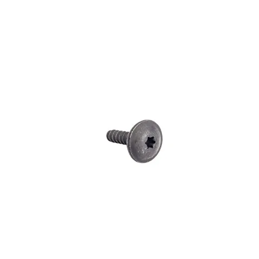 VW Bus T5 Innensechsrund-Blechschraube (Torx) für Unterfahrschutz