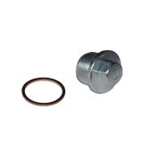 VW Bus T4 lablasschraube mit Kupferring 2,4 2,5 AAB ACV