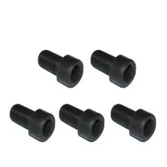 VW Bus T3 Schwungradschraube - 5 Stück WBX